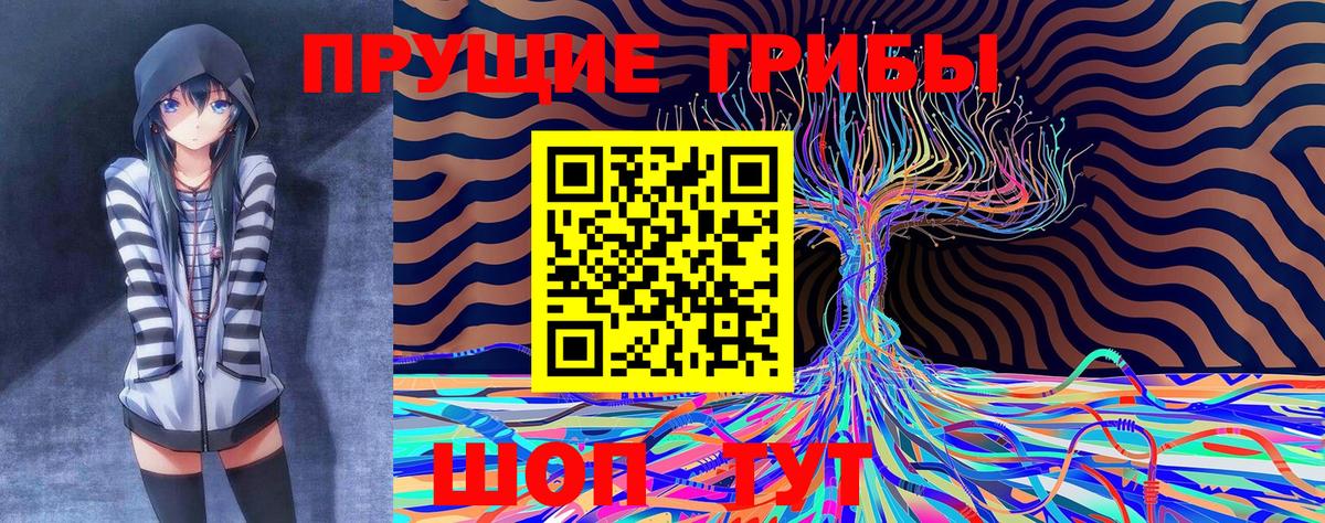 где купить наркотик  Вход с VPN  Псилоцибиновые грибы Psilocybine cubensis  Избербаш  Галлюциногенные грибы мицелий 